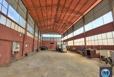 Spatiu industrial de inchiriat in Baicoi, zona Sud-Vest, 600 mp #16616 - 2