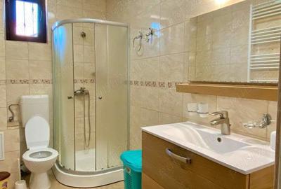 Dacia-Bloc Nou,Garsoniera decomandata,45 mp,Centrala Gaze - 5