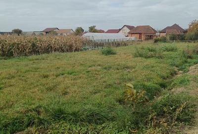 Teren de 800 mp, în Mocira - 1