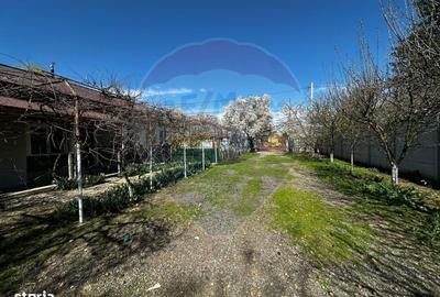 Casă cu 3 camere cu Teren 1000 Mp în Răcari - 13