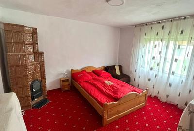 Casa si teren de vanzare in zona turistica Rucar - 5