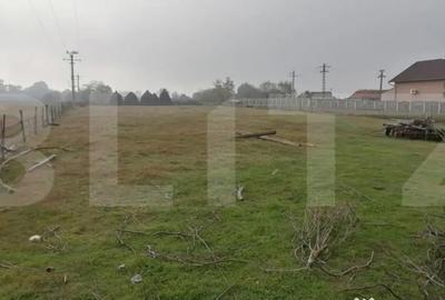 Teren de 3300 mp, în Vințu de Jos - 2