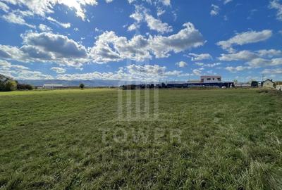 Teren industrial de vânzare în Cristian – 6.000 mp, deschidere la drum asfaltat - 10