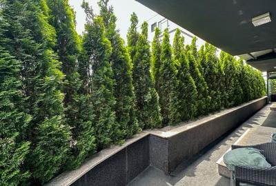 Apartament cu 6 camere decomandat, mobilat în Barbu Văcărescu - 29