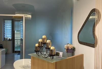 Vila de inchiriat in Herastrau -se preteaza pentru office/salon sau rezidential Vila de inchiriat in Herastrau -se preteaza pentru office/salon sau rezidential - 2