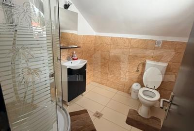 PENSIUNE deosebita in Cheia, Bran–7 camere cu baie proprie la cheie 330.000 EURO - 4