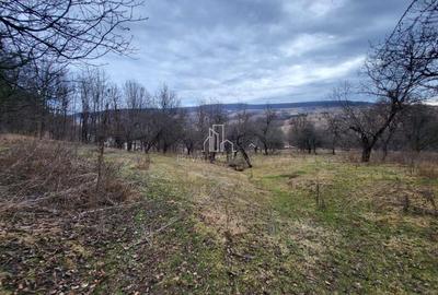 Teren de vanzare intravilan, 10 000 Mp , Sighisoara - 2