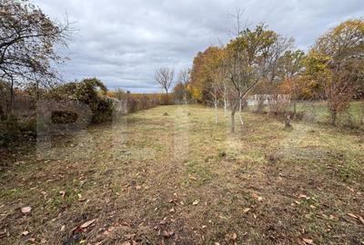 Casa solida din caramida cu teren generos Gura Ocnit - 2
