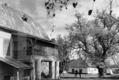 De vanzare conac boieresc, anul 1880, 3 ha teren, 1200 mp co - 4