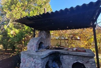 Cabana de vanzare, dealul viilor, Ineu - 5