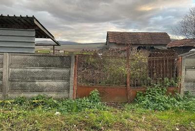 Casă cu 3 camere cu Teren 2700 Mp în Uioara de Sus - 4