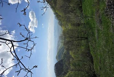 Teren de 3000 mp, în Certeju de Sus - 7