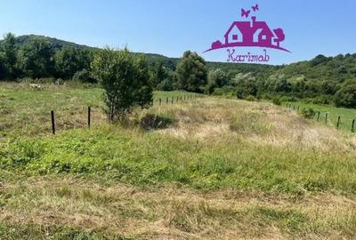 Teren intravilan Hidiselul de Sus - 2