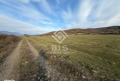 Teren de 1000 mp, în Central - 3