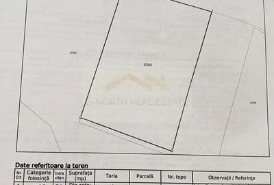Teren de 10000 mp, în Ciorogârla - 4