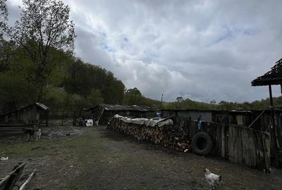Casă cu 2 camere în Licurici - 1