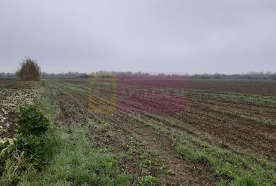 Teren Investiție aproape de București - 2