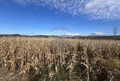 Teren extravilan agricol de vanzare - Selimbar Sibiu - 1
