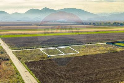 Teren de 650 mp, în Central - 1