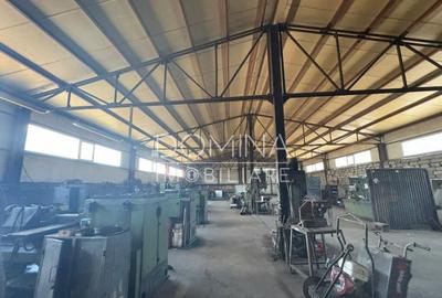 Proprietate industriala - Tg. Jiu - teren + hala + birouri - 5