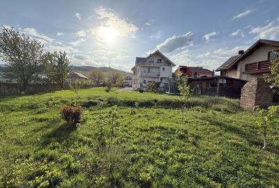 Casă cu 4 camere cu Teren 2760 Mp în Central - 3