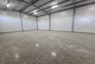 Spațiu industrial, de 7,000 mp, în Exterior Nord - 2