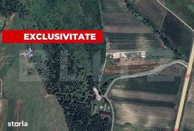 Teren de 5996 mp, în Teiu - 1