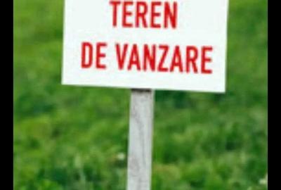 Teren de 4975 mp, în Berca - 3