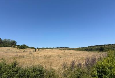 Colaret, Mehedinti - 2