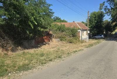 Casa si teren de vanzare Localitatea Hotar - Comuna Tetchea - 1