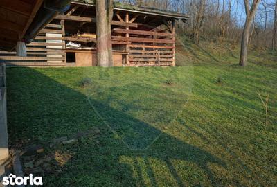 Spațiu comercial, de 175 mp, în Unirea - 18