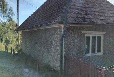 Teren de 5400 mp, în Sălătrucel - 1