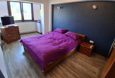 Apartament cu 3 camere decomandat, mobilat în Păcurari - 6