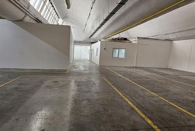 Pantelimon hala productie depozitare - 2