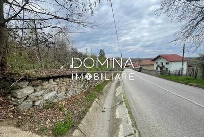 Teren de 2845 mp, în Runcu - 9