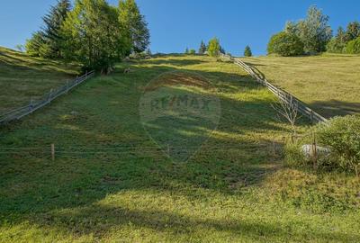 Casa / Vila cu 6 camere, in inima naturii, comision zero pt cumparator - 28