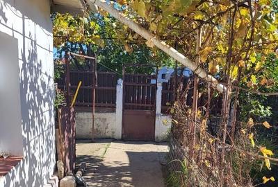 Casa Alexandru Iliescu - 2