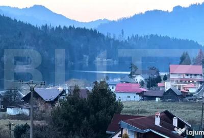 Teren de 2500 mp, în Colibița - 8