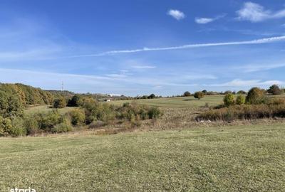 Spațiu comercial, în Rășinari - 4