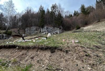 Teren de 6000 mp, în Dâmbovicioara - 1
