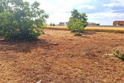 Teren de 500 mp, în Mânăstirea