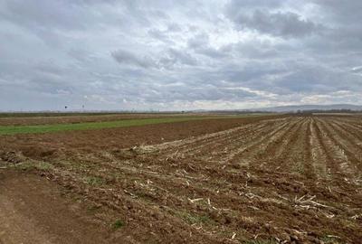Teren de 2500 mp, în Hănțești - 2