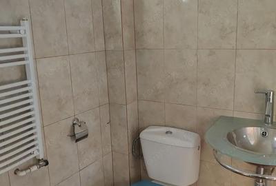 Casă cu 4 camere cu Teren 1000 Mp în Lăpuș - 2