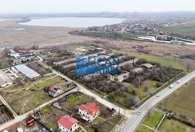 Casă individuală cu 5 camere cu Canalizare în Mineri - 20