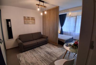 Garsonieră semidecomandată în Brâncoveanu - 7