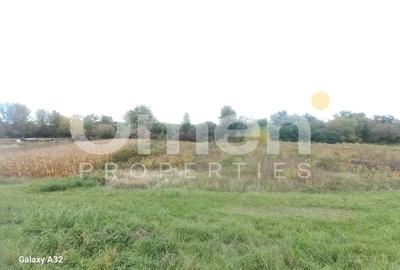 Teren agricol extravilan de 700 mp, în Cătălina - 3