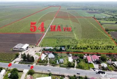 Teren de 540286 mp, în Urechești - 18