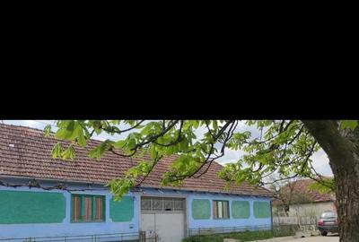Casă cu 5 camere cu Teren 3313 Mp în Hodiș - 4