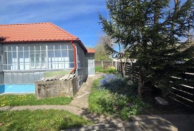 Casă cu Teren 2000 Mp în Miorcani - 5