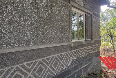 Casa si gradina cu livada 1683 mp - 48.500 euro - Topolovatu Mare - 7
